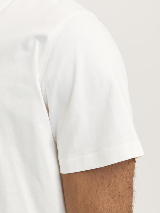 Immagine prodotto Jack & Jones Rdddan Crew Neck Tee S/S Noos (XXL)