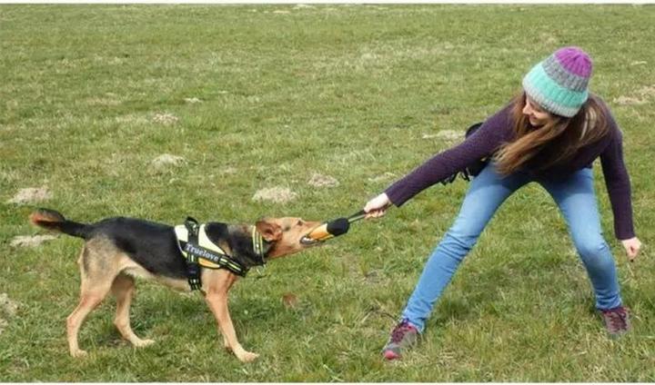 Actual product image Out of the blue Dog Training Treat Bag Size M (M)