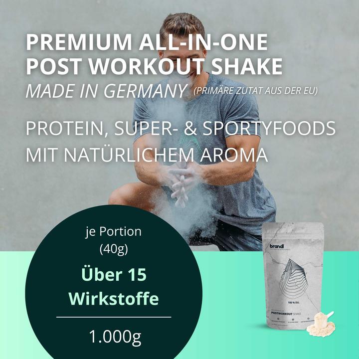 Actual product image Brandl Pulver Post Workout Vegan Zimt 1000 g (Cinnamon, 1 pcs., 1000 g)
