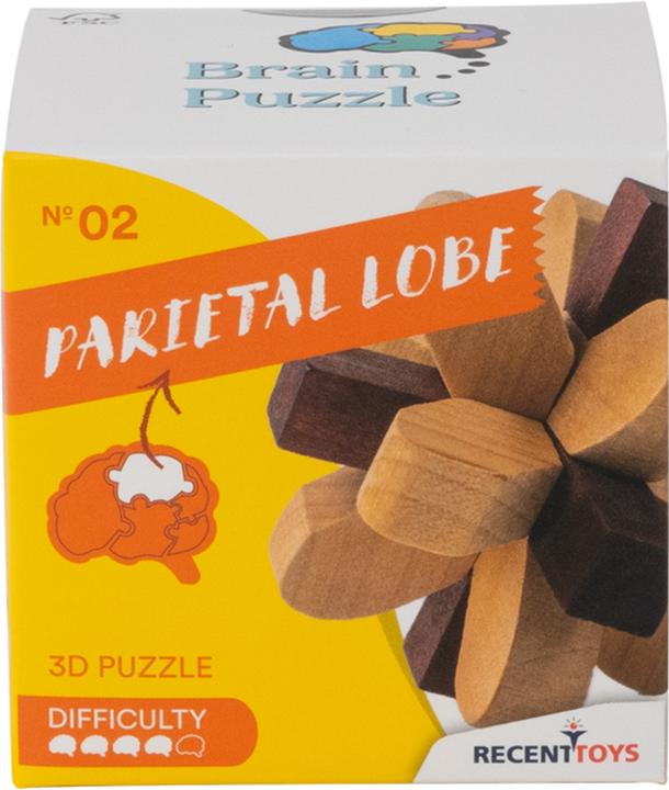 Actual product image Recent Toys Brain Puzzle No.2 Parietal Lobe (German)