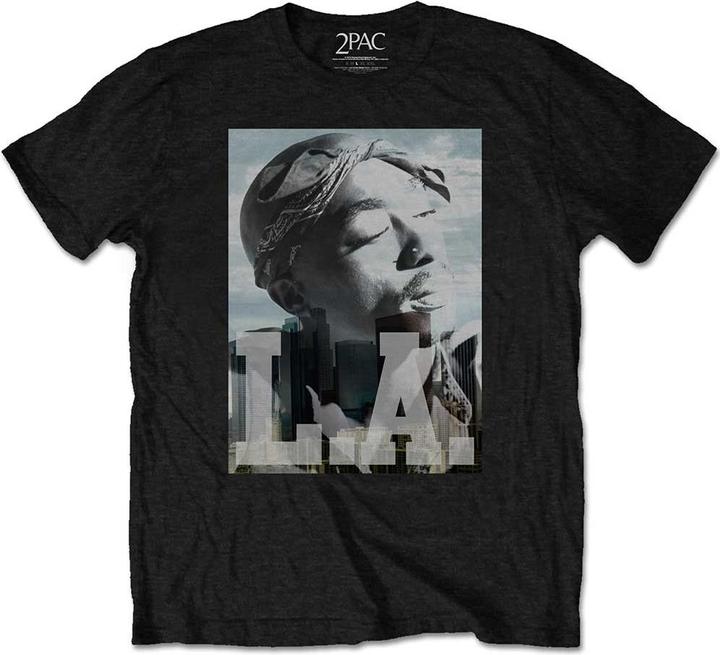 Tupac LA Skyline