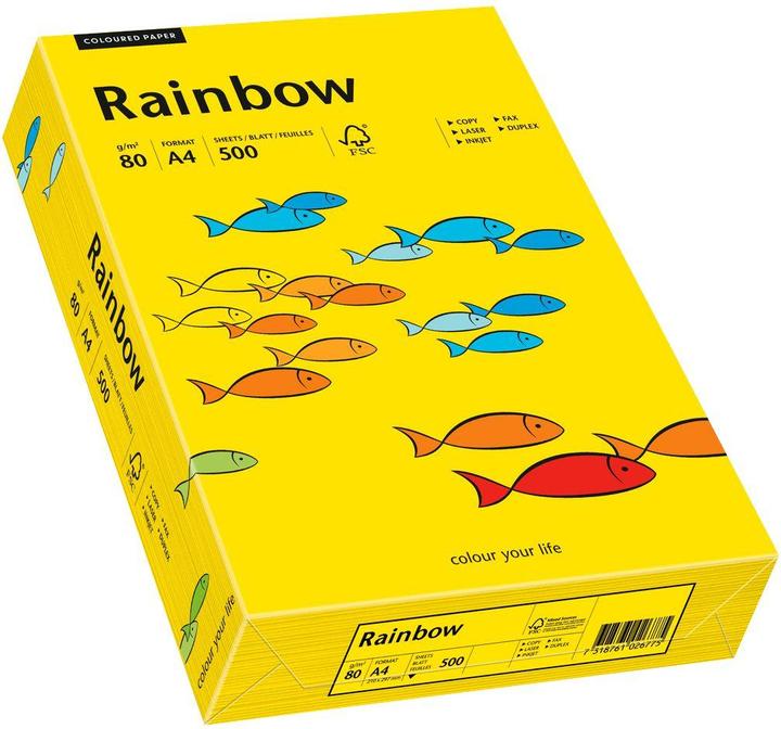 Immagine prodotto Papyrus Rainbow (80 g/m², 500 x, A4)