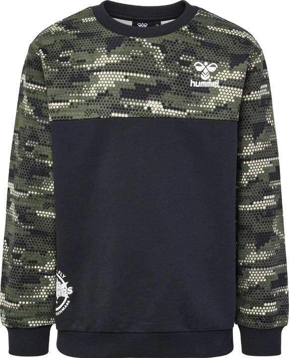 Actual product image hummel Hmlfsk Go Sweatshirt (110)