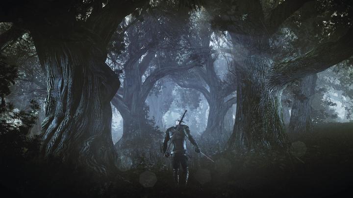 Image du produit The Witcher 3 : Wild Hunt