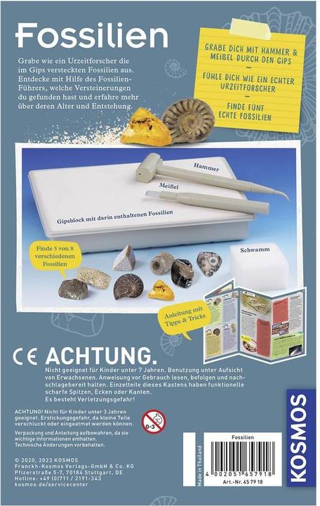 Actual product image Kosmos Fossils