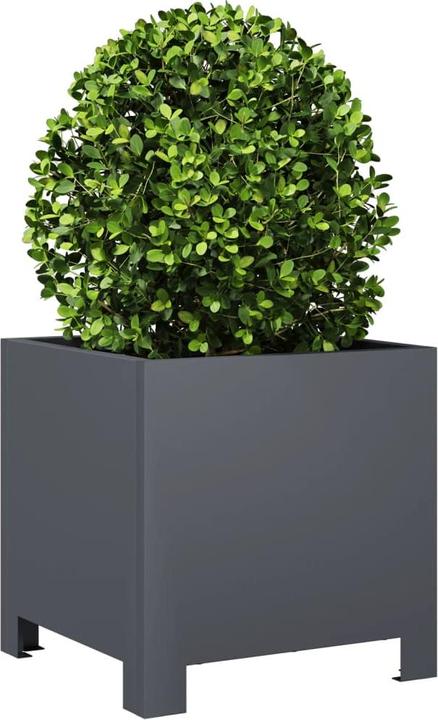 Image du produit VidaXL Urania