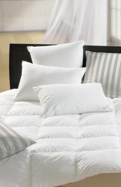 Produktbild DOR Nerium Classic (65 x 65 cm)