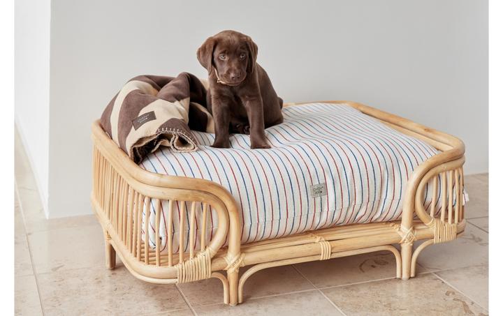 Produktbild Oyoy Hunde-Bett Otto (Hund)