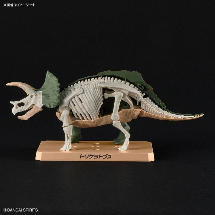 Actual product image Bandai Planosaurus - Triceratops