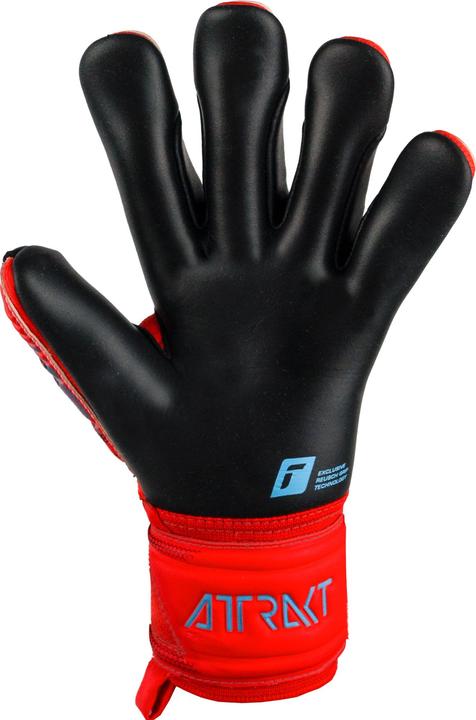 Actual product image Reusch Attrakt Gold X (5.5)