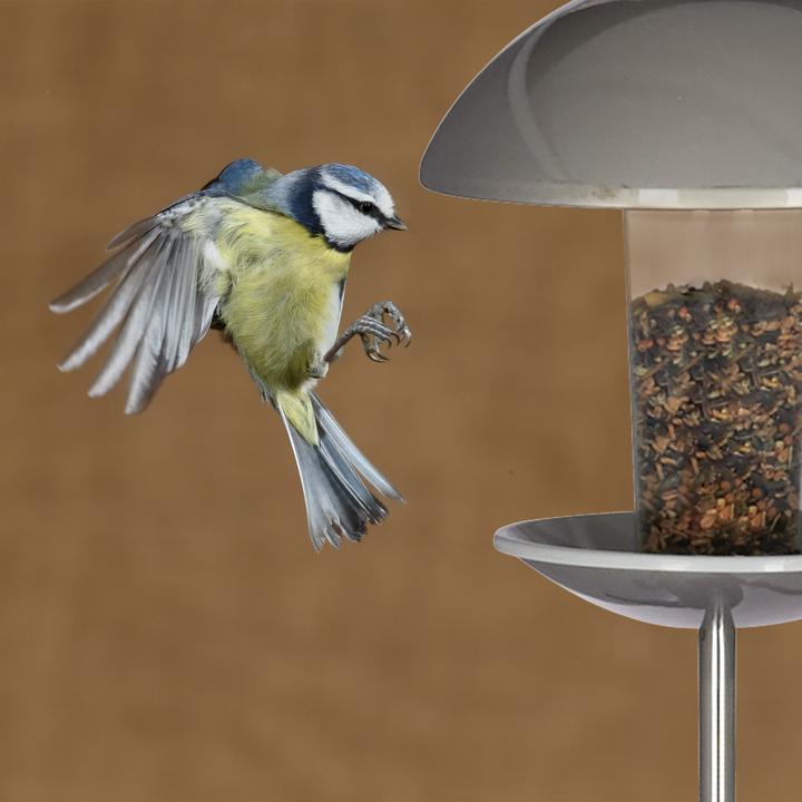 Actual product image Relaxdays Bird Feeder on a Pole