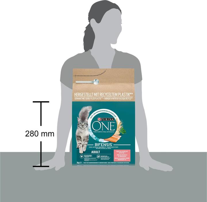 Actual product image Purina ONE Salmon and Wholemeal (Adult, 1 pcs., 3000 g)