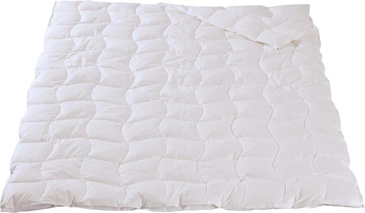 Image du produit DOR Fuchsia Pro (280 g, 160 x 210 cm)