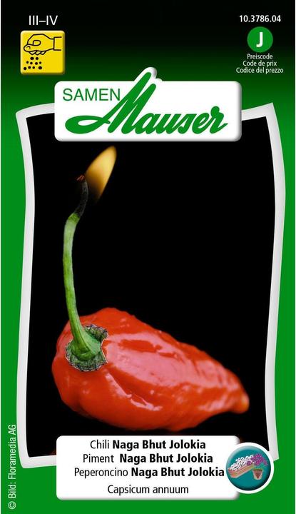 Actual product image Samen Mauser Chili Naga Bhut Jolokia (Vegetable seeds)