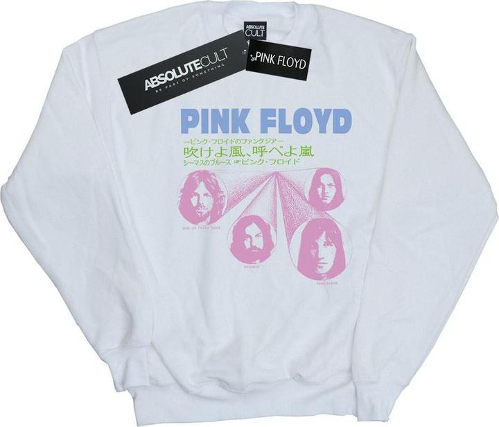 Pink Floyd One Of These Days Boyfriend Fit Sweatshirt