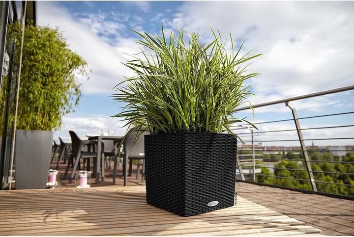Produktbild Lechuza Cube Cottage (29.50 cm)