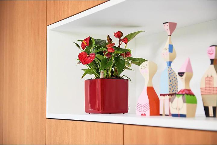 Image du produit Lechuza Cube Glossy 14 (14 cm)