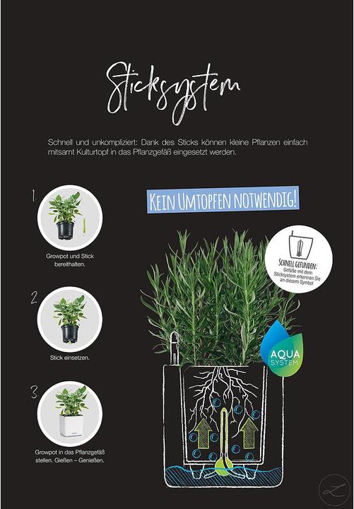 Immagine prodotto Lechuza Green Wall Home Kit (15 cm)