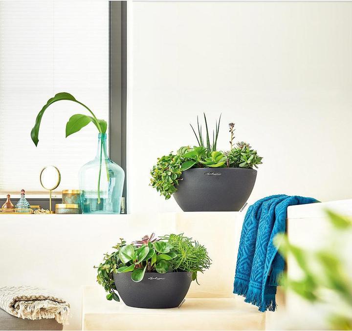 Produktbild Lechuza Cubeto Color (30 cm)