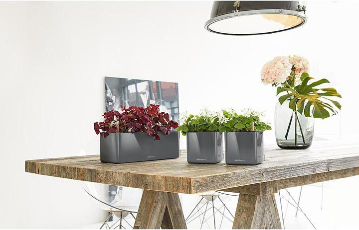 Immagine prodotto Lechuza Cube Glossy 16 (16 cm)