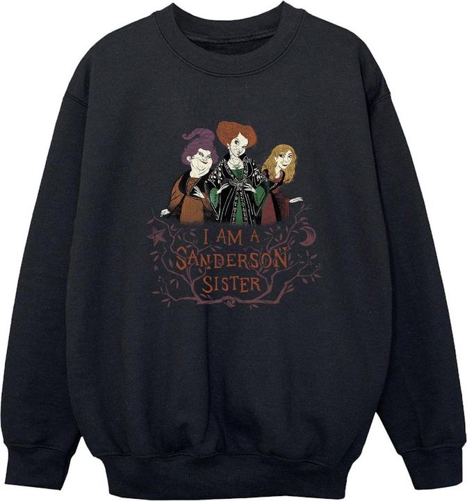 Disney Hocus Pocus Sanderson Sister Sweatshirt Jungen