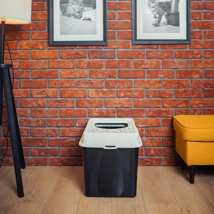 Actual product image Rotho Cat litter tray with opening BERTY (Cat litter tray open)