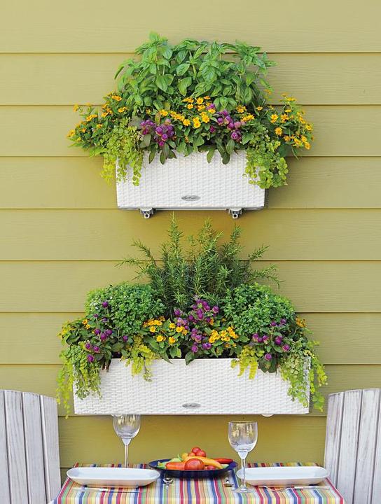 Produktbild Lechuza Balconera Cottage (19 cm)