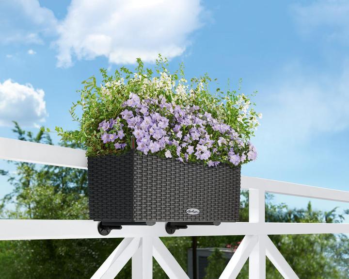 Produktbild Lechuza Balconera Cottage (19 cm)
