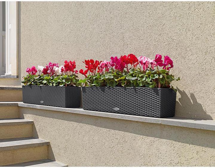 Immagine prodotto Lechuza Balconera Cottage (19 cm)