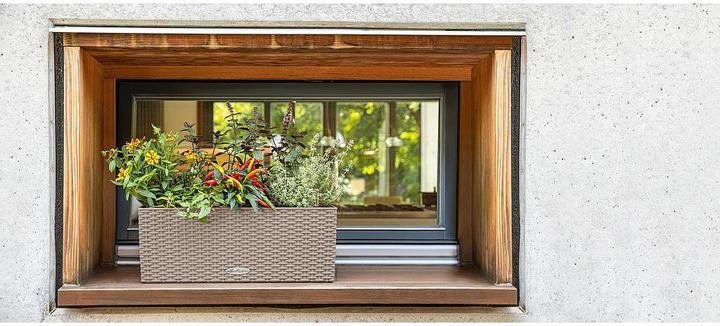 Immagine prodotto Lechuza Fioriera Balconera Cottage 50 (19 cm)