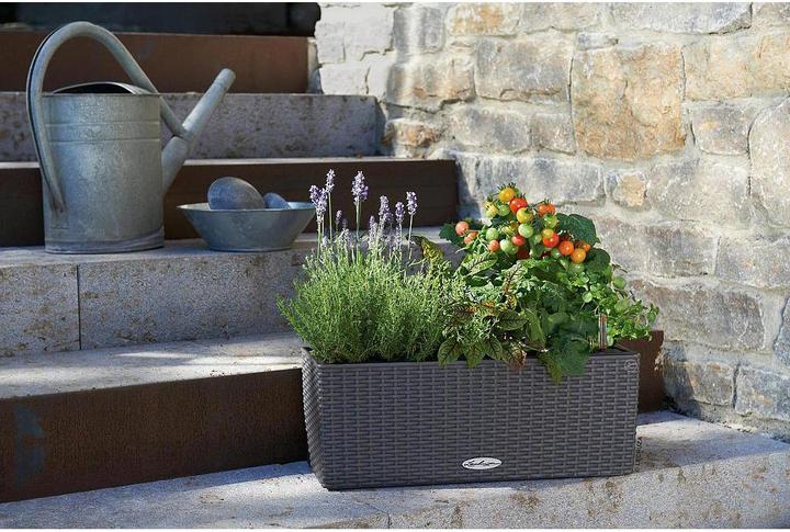 Actual product image Lechuza Balconera Cottage (19 cm)