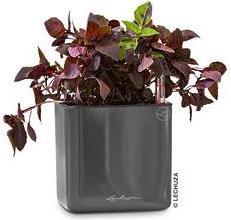 Immagine prodotto Lechuza Cube Glossy 16 (16 cm)