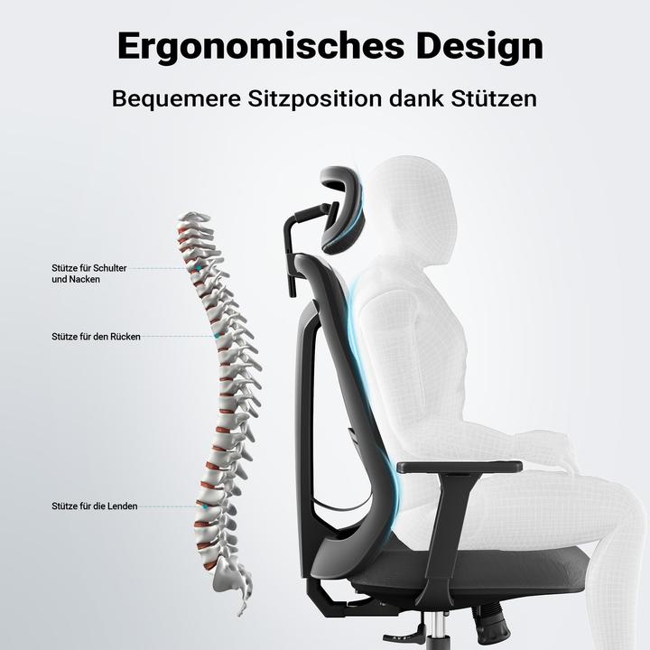 Image du produit Wiltec Chaise de bureau ergonomique