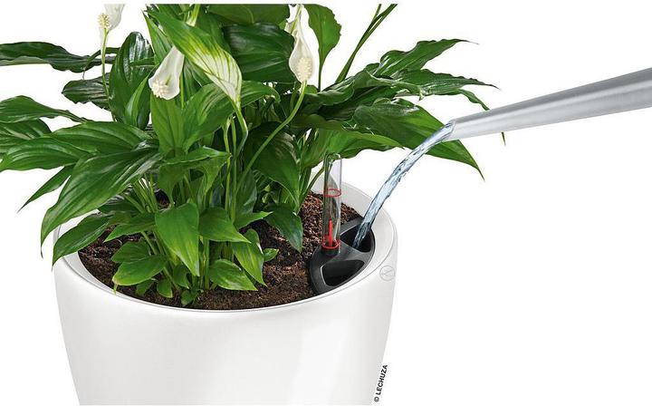 Produktbild Lechuza Classico (28.50 cm)