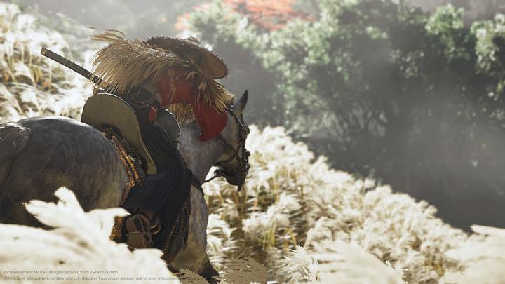 Immagine prodotto Sony Ghost of Tsushima (PS4, Multilingue)