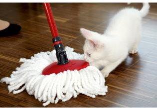 Actual product image Vileda Easy Wring & Clean Refill (1 pcs.)