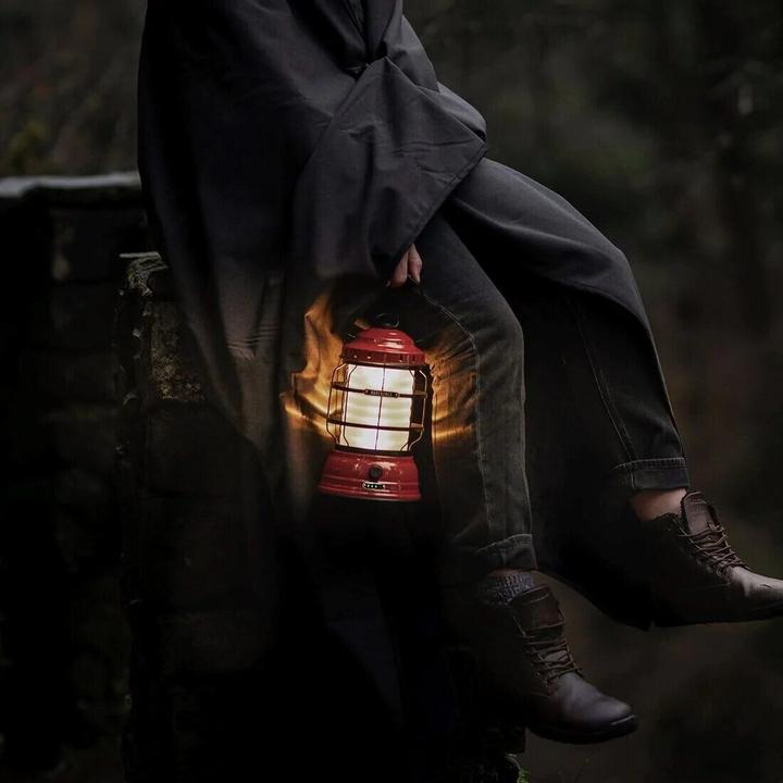 Actual product image Barebones Lantern FOREST