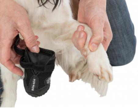 Produktbild Trixie Pfotenschutz Walker Active (S, M, Hundeschuhe)