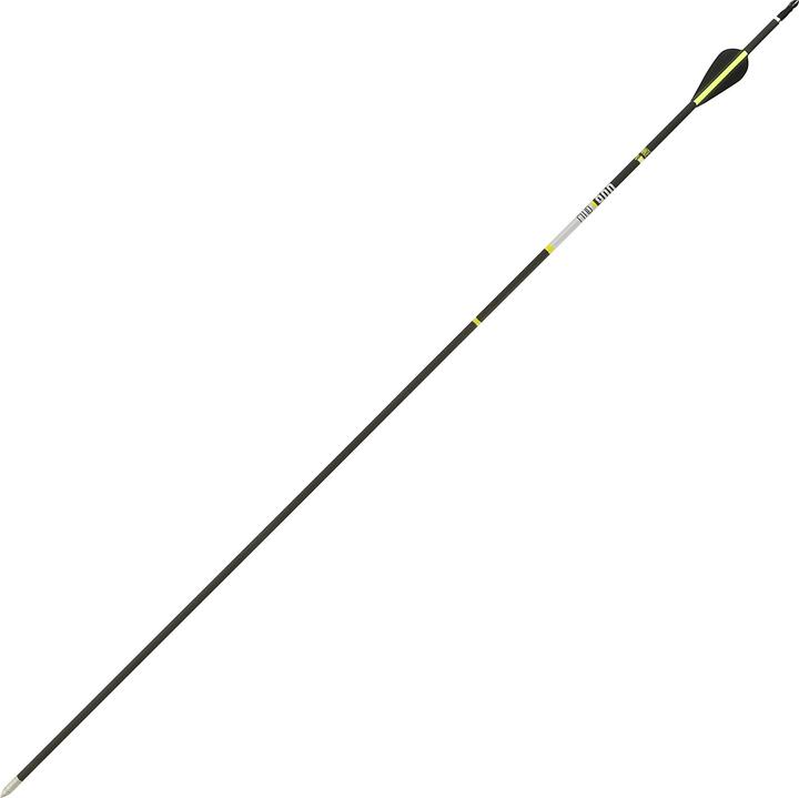Actual product image Geologic Carbone