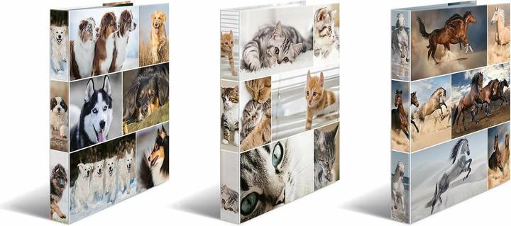 Actual product image HERMA A4 ring binder motif (A4, 35 mm, 1 Piece)