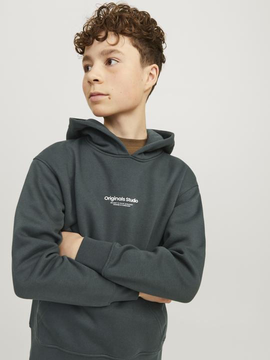 Actual product image Jack & Jones Jorvesterbro Sweat Hood Noos Mni (116)