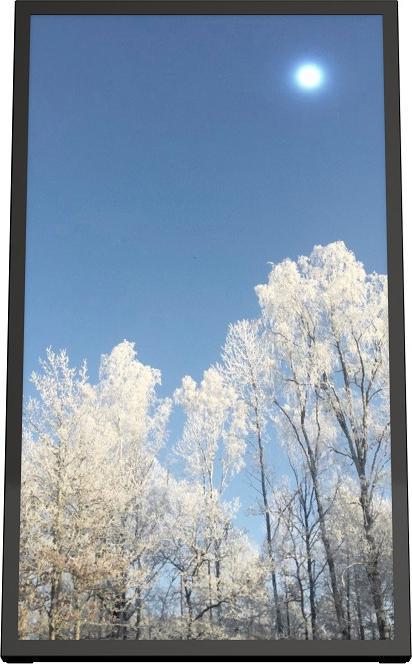 Actual product image HI-ND Wall Casing 43", Portrait for Samsung, LG & Philips, Polycarbonate protection, Black, 30 kg, 1