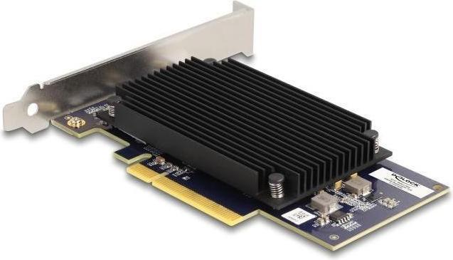 Actual product image Delock PCI Express x8 Hailo-8 AI processor x2 AI acceleration