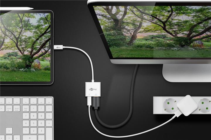 Image du produit Goobay Adaptateur USB C (USB, 14.50 cm)
