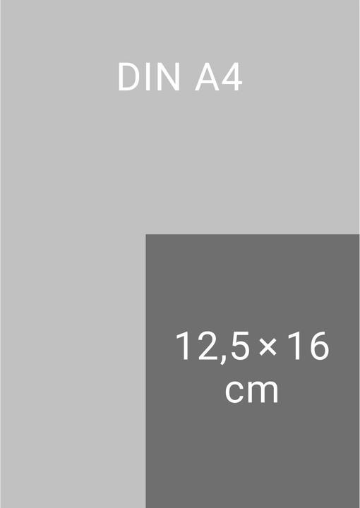 Heye Die drei!!! Tagesabreisskalender 2026 (Deutsch)