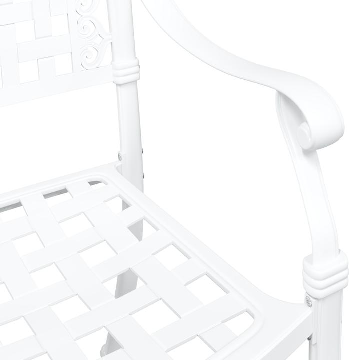 Actual product image VidaXL Garden chairs set of 2 white cast iron