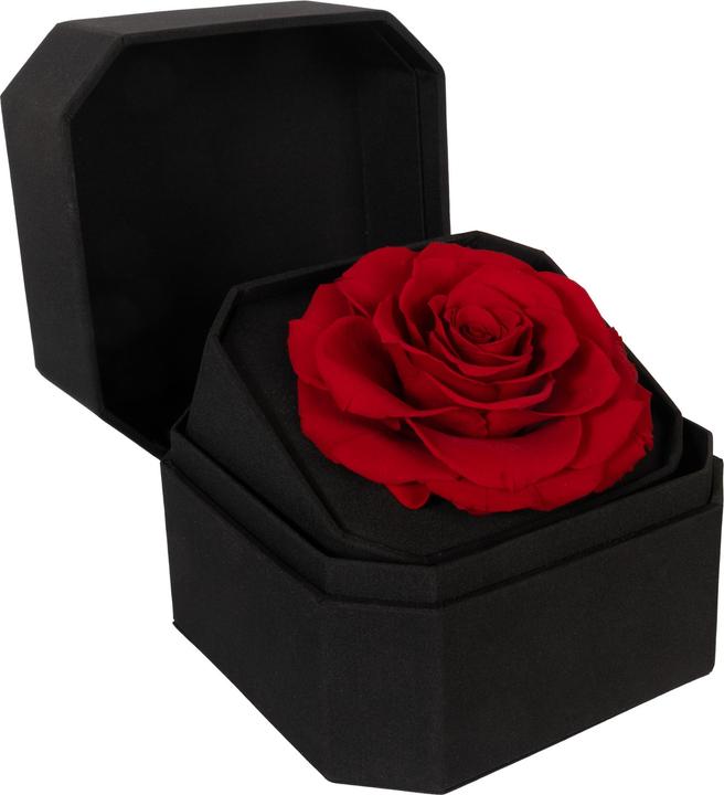 Image du produit Migros Ostschweiz Rose Premium (Rose stabilisée) en coffret cadeau (Fleurs à l'infini)
