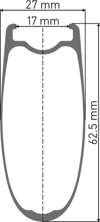 Actual product image DT Swiss ARC 1100 Dicut (Rear wheel, 29")