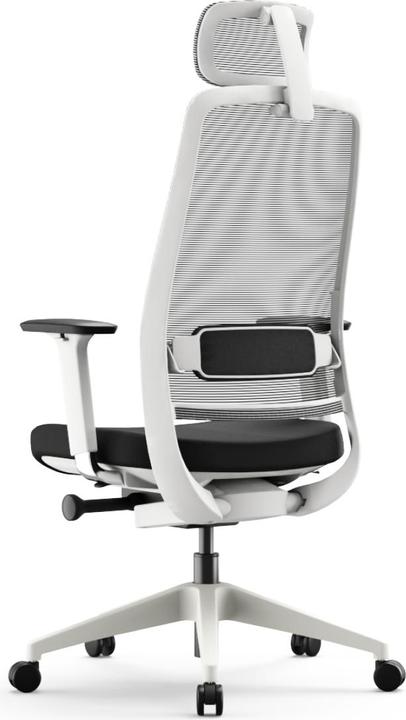 Produktbild Yaasa Chair Expert - weiss