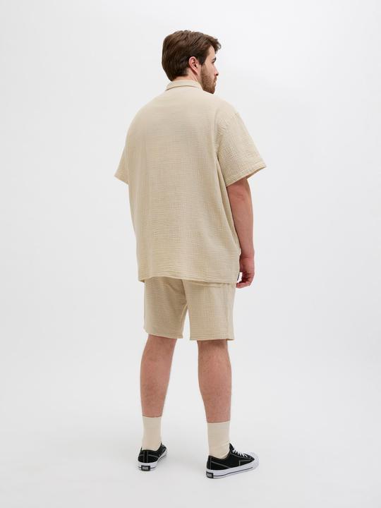 Image du produit Jack & Jones Plus Size Loose Fit Relaxed Fit Shorts Relaxed Fit Shorts (42)